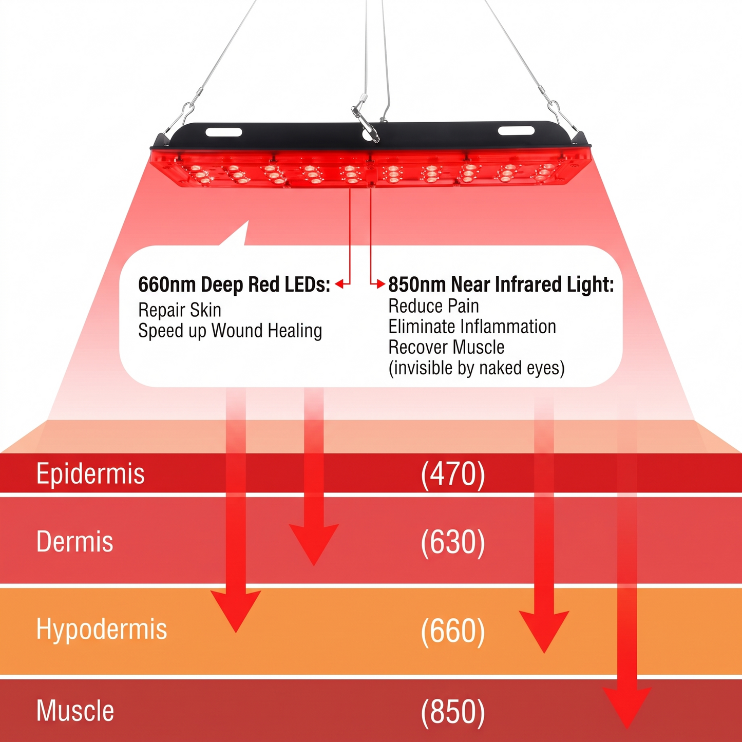 Red Light Therapy Panel Pro | 660nm 850nm with Tripod & Ceiling Mount